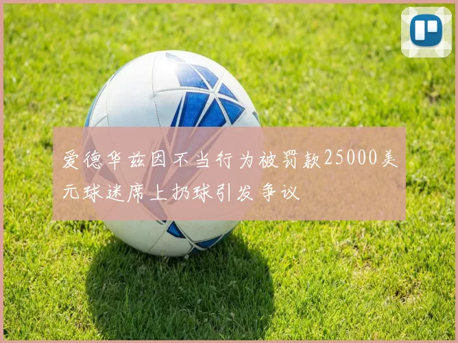 爱德华兹因不当行为被罚款25000美元球迷席上扔球引发争议