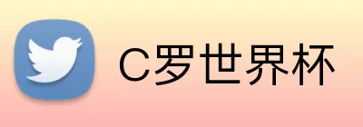 C罗世界杯 Logo